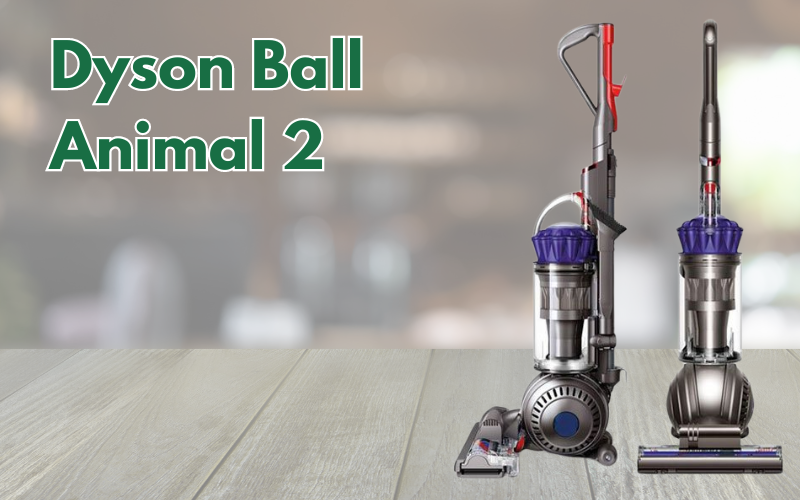 Dyson Ball Animal 2