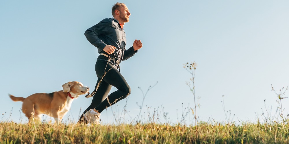 Exercise and Activity for Dogs on Prednisone