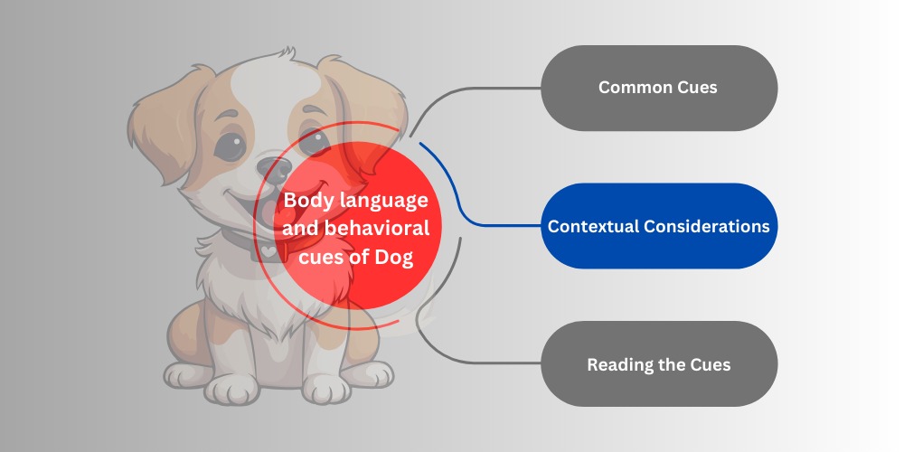 Signs of Ticklishness in Dogs